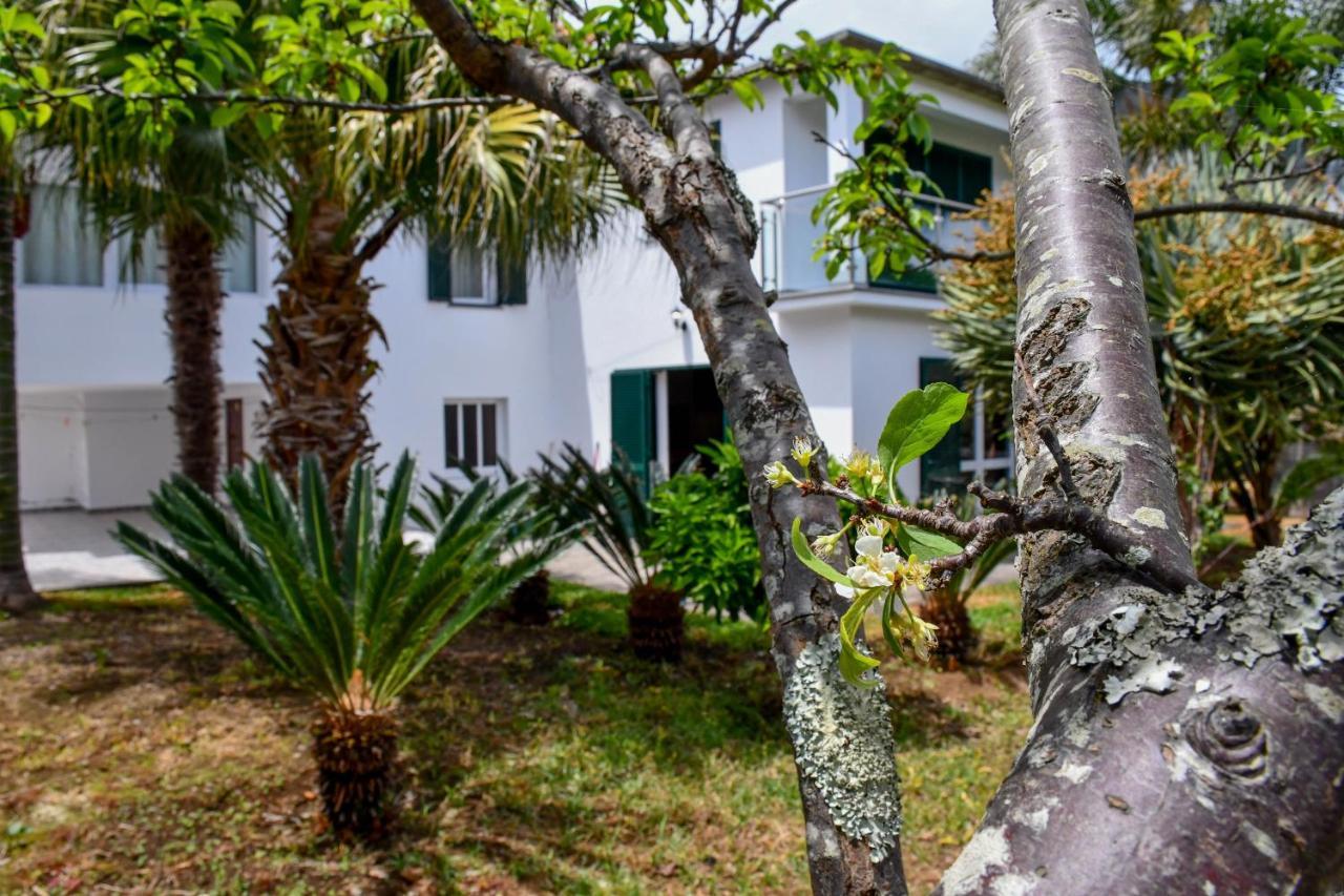 Casa Do Cantinho Do Muro São Vicente Екстериор снимка